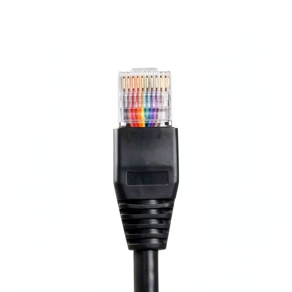 RJ50 10P10C Ethernet Cable CERRXIAN Cat 6-1